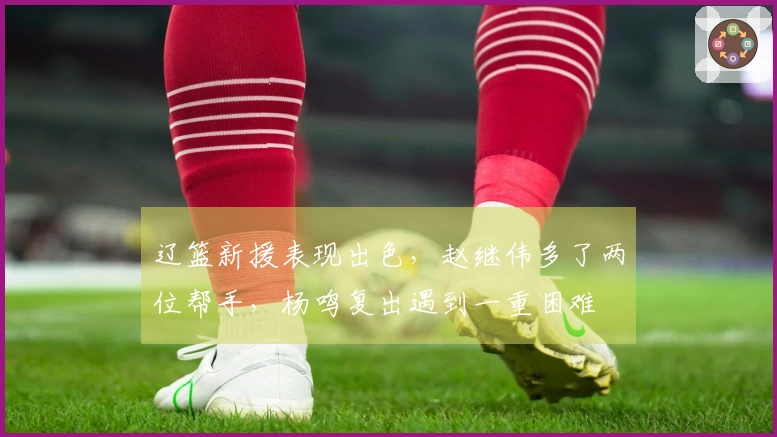 辽篮新援表现出色，赵继伟多了两位帮手，杨鸣复出遇到一重困难