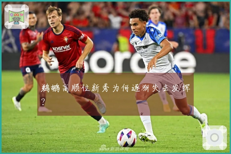 鹈鹕高顺位新秀为何逐渐失去发挥？