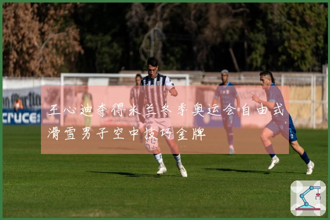 王心迪夺得米兰冬季奥运会自由式滑雪男子空中技巧金牌