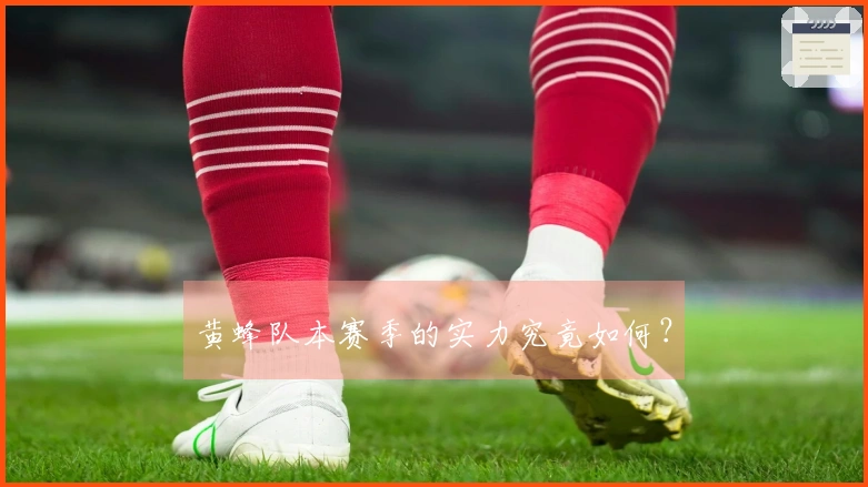 黄蜂队本赛季的实力究竟如何？