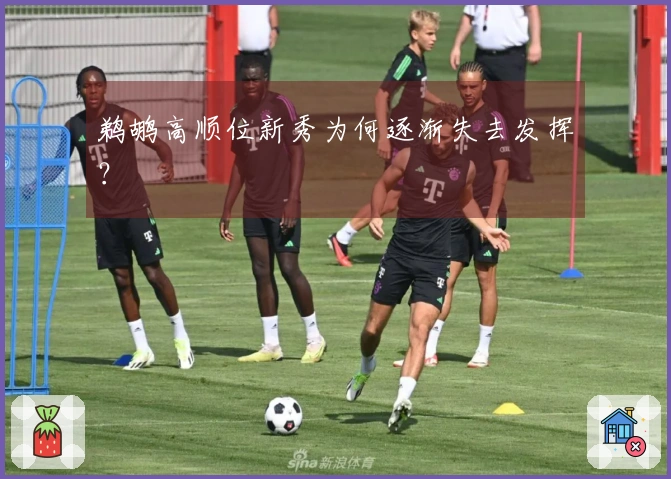 鹈鹕高顺位新秀为何逐渐失去发挥？