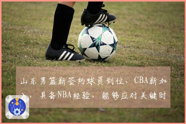 山东男篮新签约球员到位，CBA新加入，具备NBA经验，能够应对关键时刻